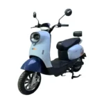 Evee Nisa 2W Electric Bike 4
