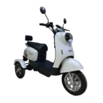 Evee Nisa 3W Electric Bike 3