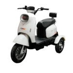 Evee Nisa 3W Electric Bike