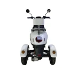 Evee Nisa 3W Electric Bike 3