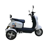 Evee Nisa 3W Electric Bike 3